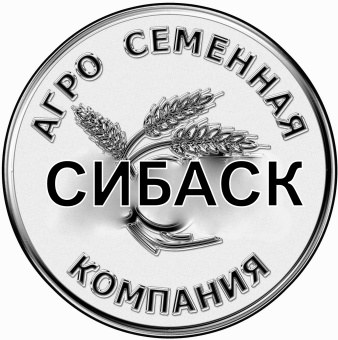 Гортензия Долли метельчатая 