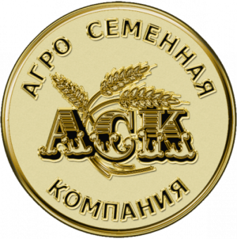 Фирменный пакет "АСК" /100/