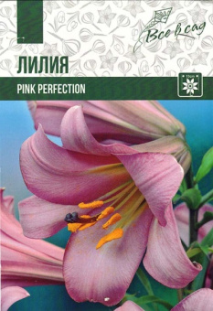 Пинк Перфешн  1 шт