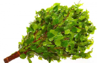 Веник березовый