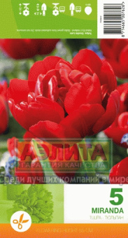Миранда /махр.красный/ 10/11 (5 шт/у) /Эконом Ке/