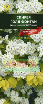 Спирея Голдфлейм, японская (в тубе)