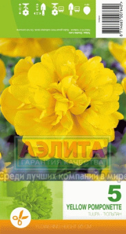 Еллоу Помпонетт (желтый махр.) 10/11 (5 шт/у) /Эконом Ке/