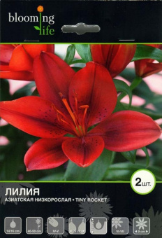 Тайни Рокет (14/16)  2шт/у 