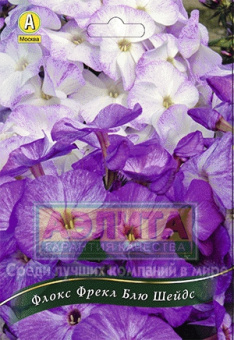 Флокс Фудзияма 3 шт/у 