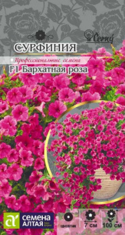 Сурфиния Бархатная роза /Сем.Алтая/ 5 шт