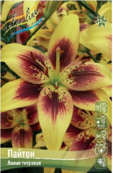 Пайтон (12/14) 5 шт/у