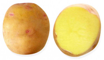 Саровский (вес)