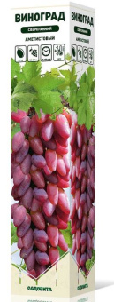 Аметистовый сверхранний /Садовита/