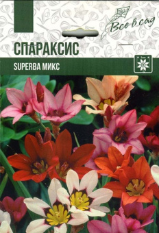 Спараксис Суперба Микс (4/+) 20 шт/у 