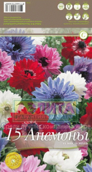 Анемона Санта Бриджит Микс (6/7) 15 шт/у /КЕ/