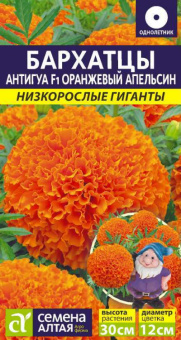 Антигуа Оранжевый апельсин. /Сем.Алт./ 5 шт