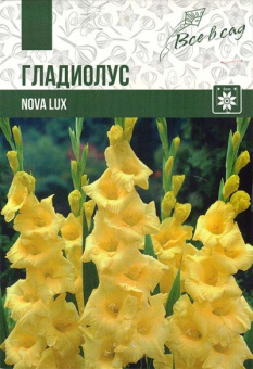 Нова люкс (10/12) 5 шт/у 