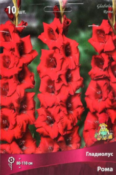 Рома (10/12) 10 шт/у