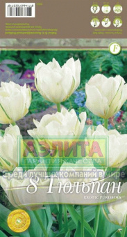 Экзотик Пуриссима (12/+) 5 шт