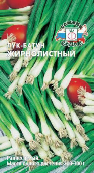 Батун Жирнолистный /СеДек/ 1 г