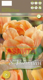 Циркуит (11/12) 10шт/у