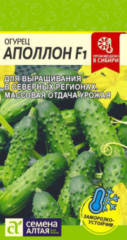 Аполлон F1 /Сем.Алт./ 5 шт