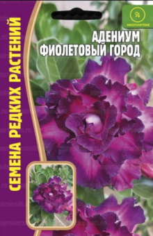Адениум Фиолетовый Город /Григорьев/ 3 шт