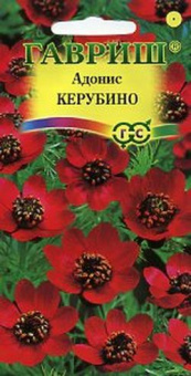Адонис Керубино /Гавриш/ 0,1 гр.