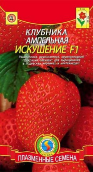 Искушение F1, клубника ампельная /Плазмас/ 10 шт