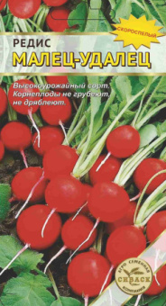 Малец-удалец /АСК/ 1 гр