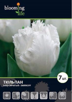 Сильвер Пэррот (12/+) 4 шт