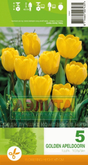 Голден Гейт (11/12 ) 5 шт/у