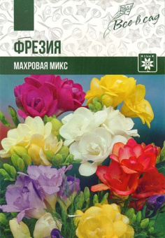 Фрезия, смесь  махровая  (5/6) 10 шт/у 