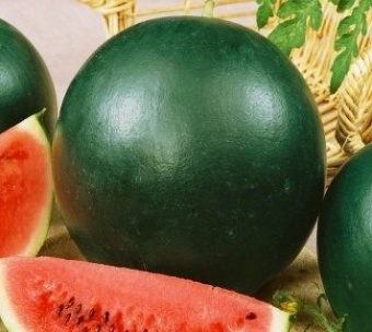 Огонек б/п  АСК/ 0,5 г